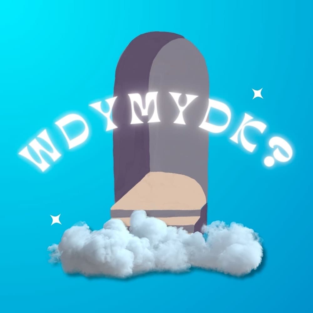 Cover art for Wdymydk by The SandBox Ug